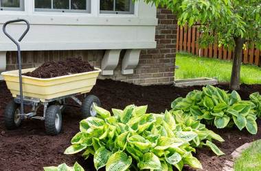 Gardening Carts
