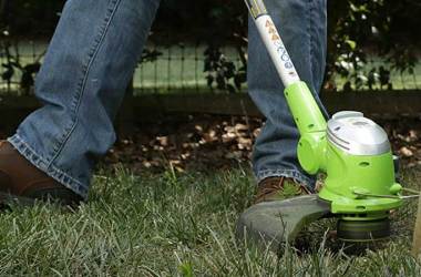 Greenworks Edgers