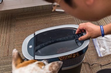 Smart Pet Feeders