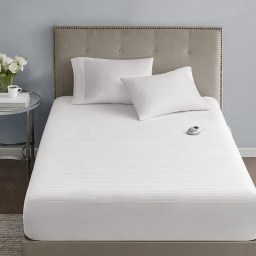 Serta