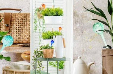 Watering Globes