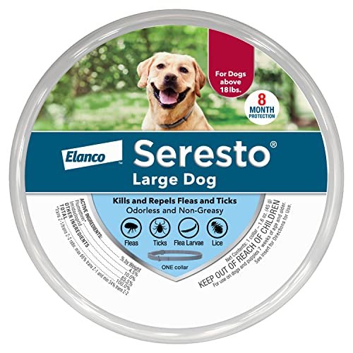 Flea and Tick