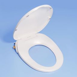 TUSHY